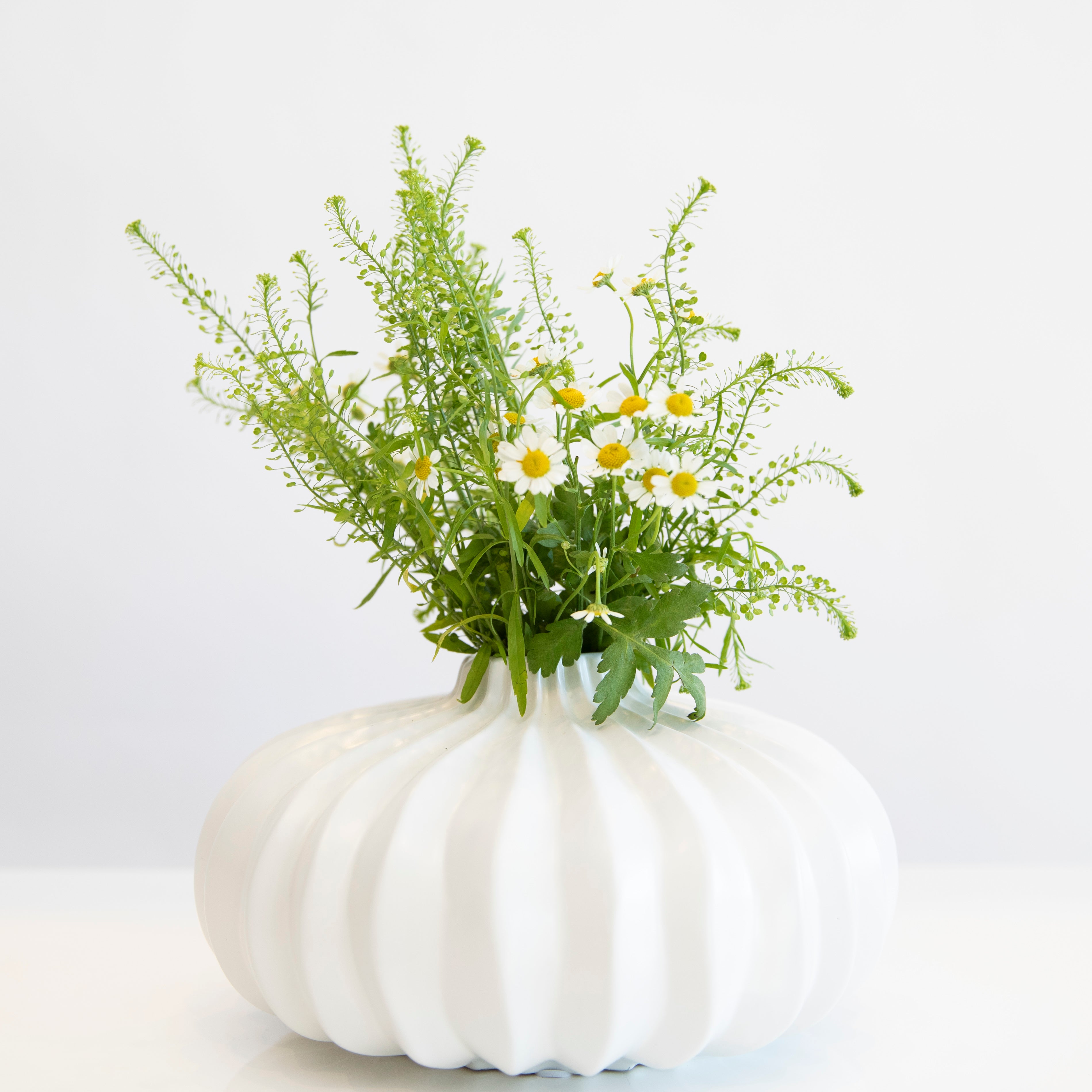 Pleated Vase