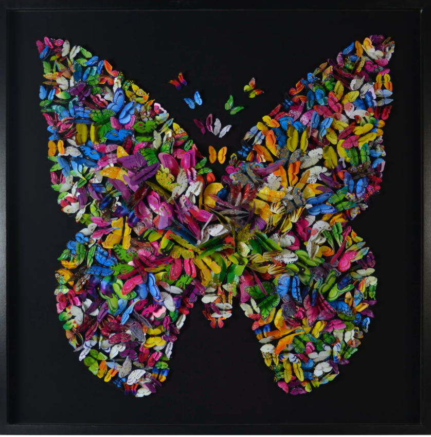 Butterfly Framed Art